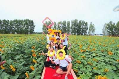 图片关键词